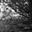 Panorama4b&w1