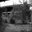 Panorama7b&w1