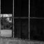 IMG_7404b&w1