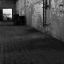 IMG_7342b&w1