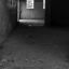 IMG_7339b&w1
