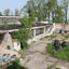 Battle arena-38