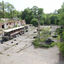 Battle arena-40