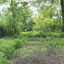 Battle arena-60