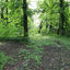 Battle arena-64