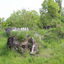 Battle arena-86